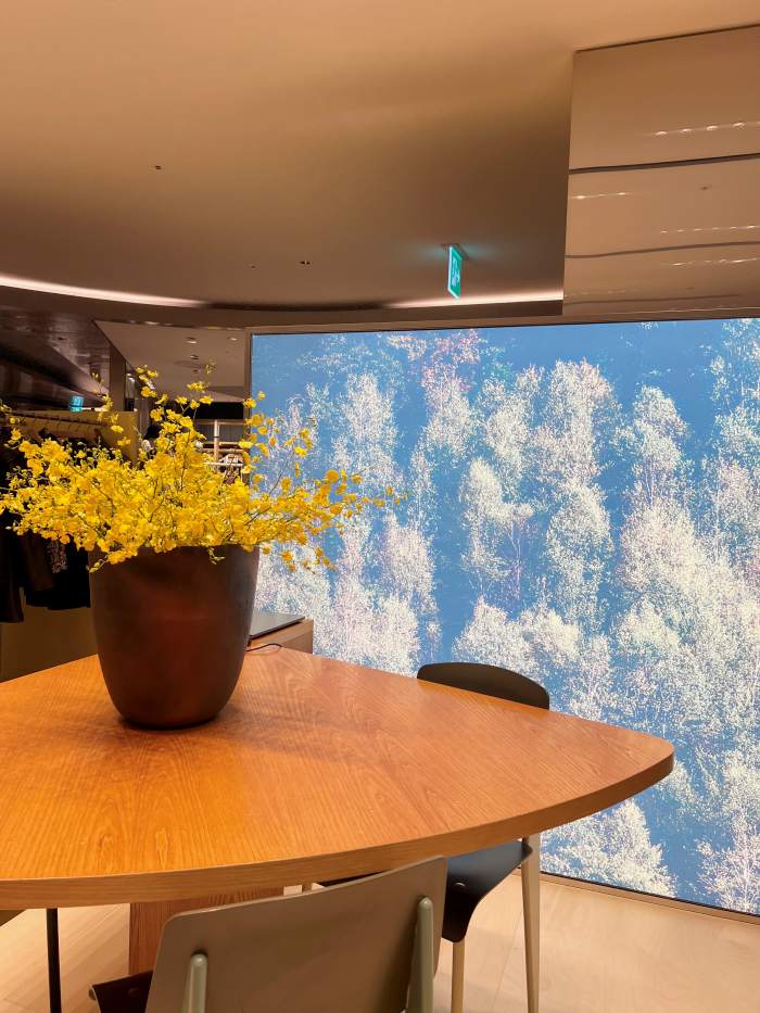 배우 손수현 픽 '이새(isae)' 롯데백화점 본점 팝업 오픈   1504-Image